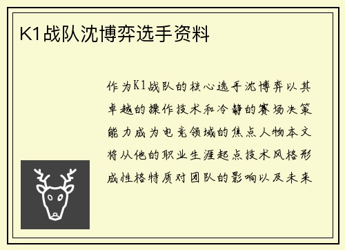 K1战队沈博弈选手资料